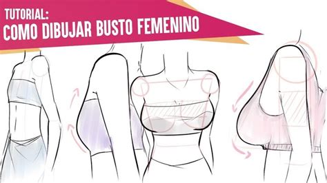 senos para dibujar|Cómo dibujar senos: pautas, anatomía, estilos y errores a evitar